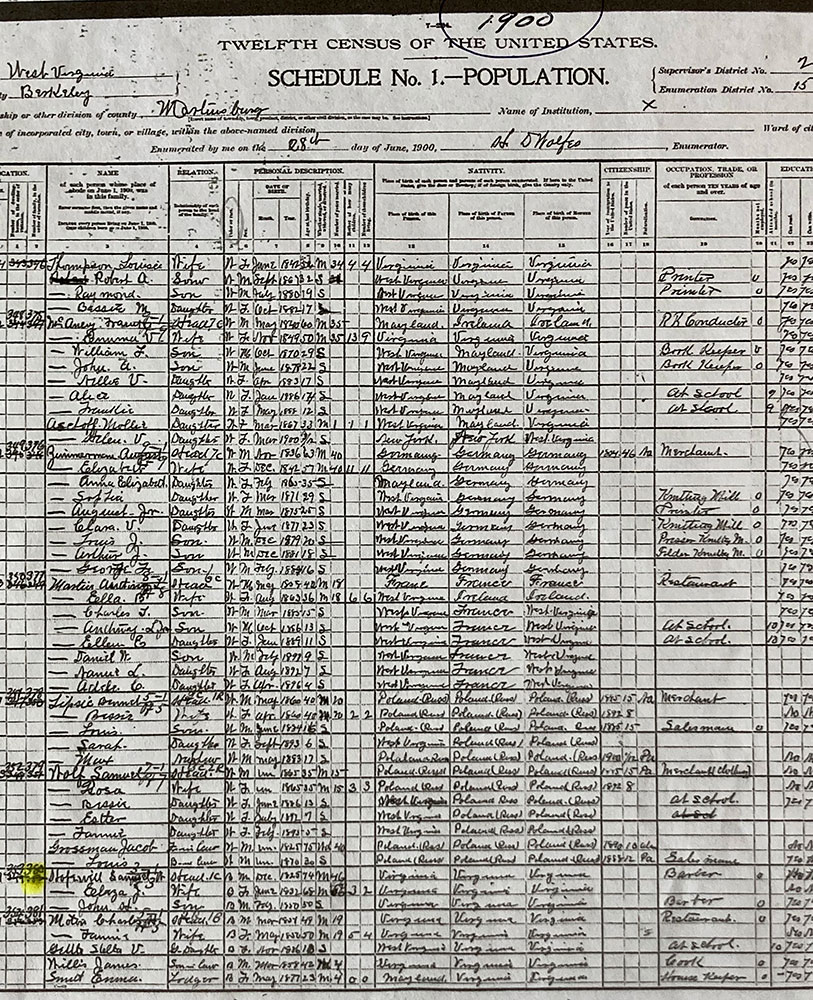 Census Record 1900